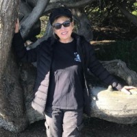 Linda J. Taylor