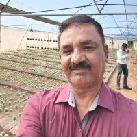 Rajendra Kumar Yadav