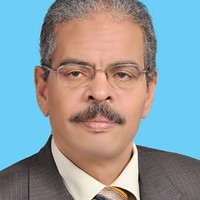 Mahmoud H. Farahat