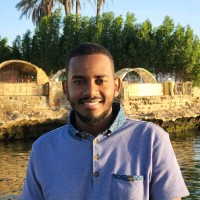 Hassan Eltinay