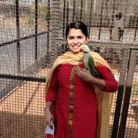 jayalakshmi am mohanan pillai