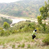 William Mugwaneza