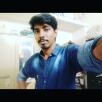 Narayanan Narayanan