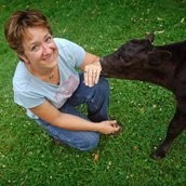 Carrie Hahn