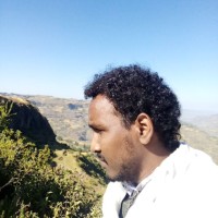Moges Mengaw