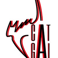 Catgal Design