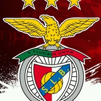 Mario Martins