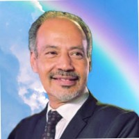 Aiman Mohamed El-Matarawi Ahmed
