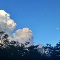 高瑞东