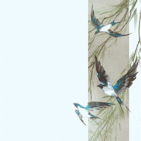 Reem Al Shehri
