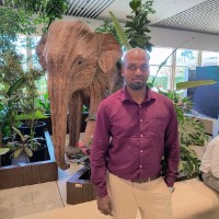Balaji Ravikumar