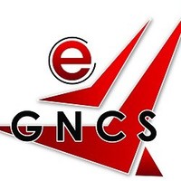 E-Gncs Ltd - Improving Healthcare