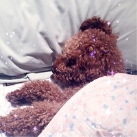 孙耀春
