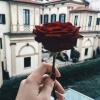noor Hourani