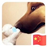 Adam Wang