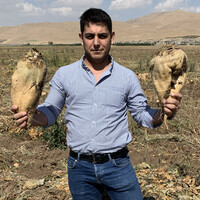 Kaveh Amirashayeri