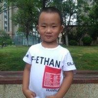 张振振