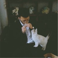 cheng wang