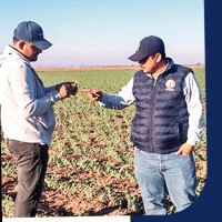 Jesús arnulfo Chang jimenez