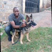 Dr.Kelvin maina