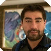 Leonardo Salgado Torres