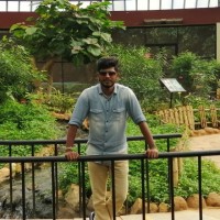 S Gokul