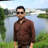 Mridul Roy