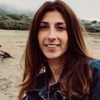 Liz Heyer
