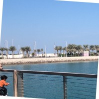 Heba Abdelkareem