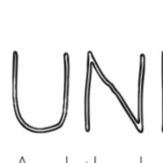Unique Niche Design Consultant