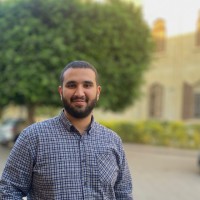 Fares Sultan