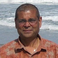 Vasant Amin