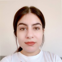 Nesreen Nawrozi