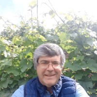 Carlos Val