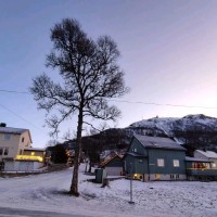 Abhinava Shrivastava