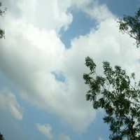 晶Lai