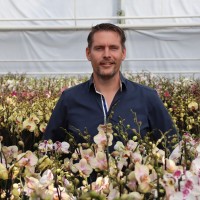 Michiel De Koning