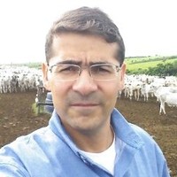 Thiago José Barbosa De Avila