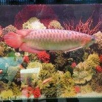 钟文其