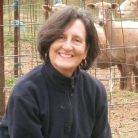 Christina Hamm