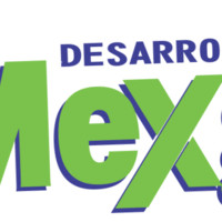Desarrolladora Mexgal