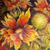 Lynne Looney