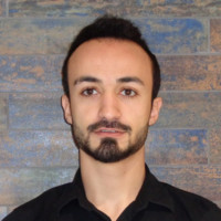 Ahmed Abdelsamea