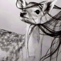 بنون البقمي