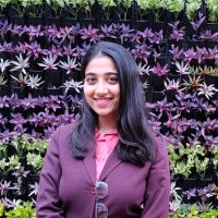 Nidhi Pandya