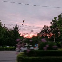 王雅茗