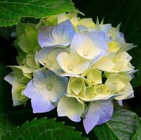 Ruth Demers