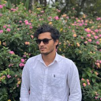 RAVEEN DEV