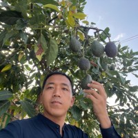 Khun Hla Pe