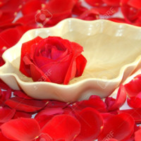 Srinidhi T